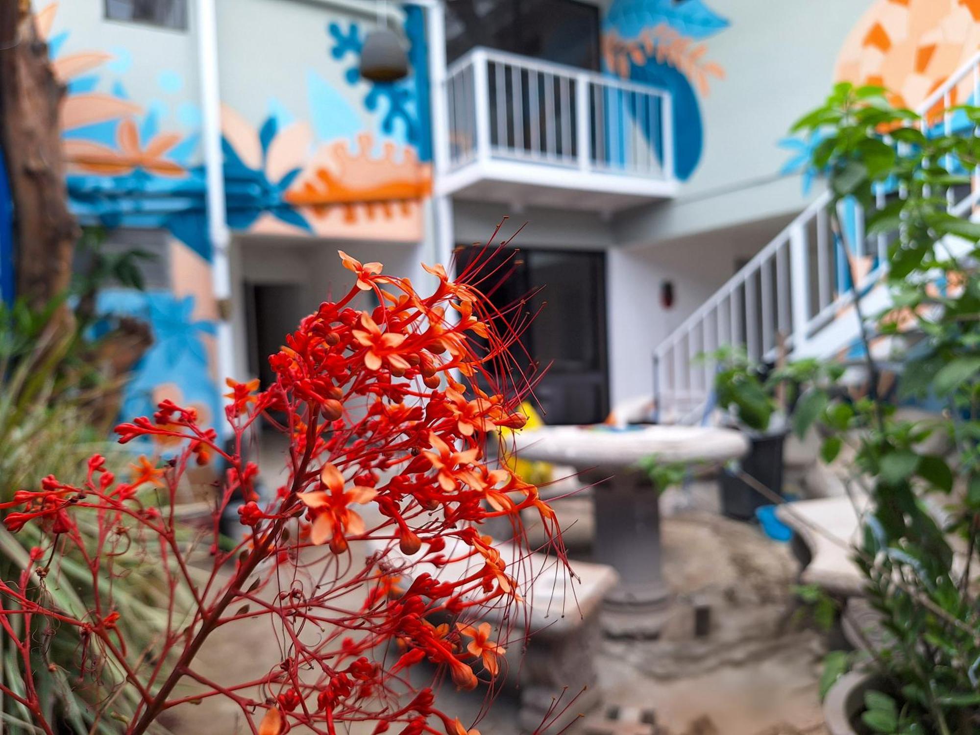 Jungla Urbana, Bnb Pavas Exterior foto